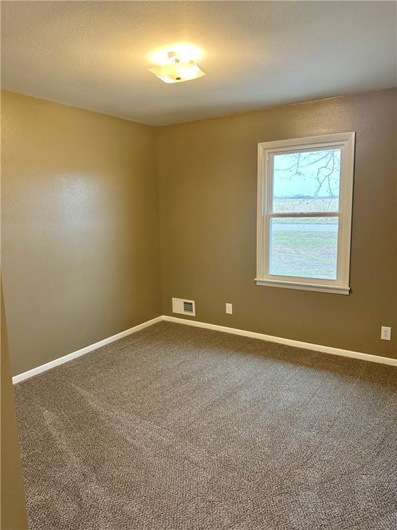 spare room featuring a textured ceiling and carpet floors