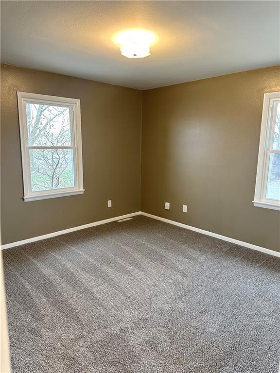 spare room with carpet floors