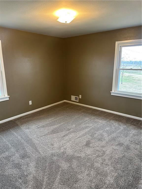 carpeted spare room with a textured ceiling