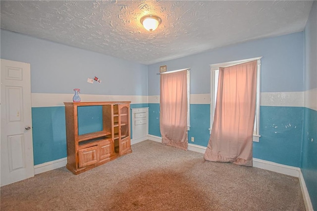 interior space featuring carpet and a textured ceiling