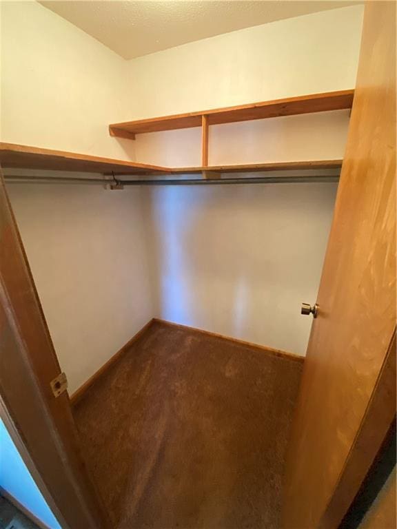 walk in closet featuring carpet flooring