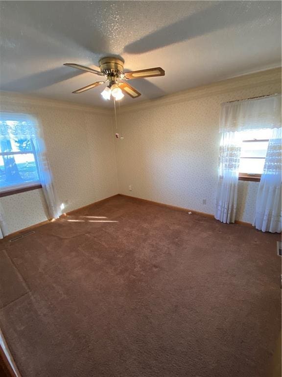 spare room with carpet flooring, ceiling fan, crown molding, and a textured ceiling