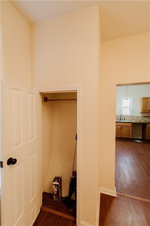 closet featuring sink