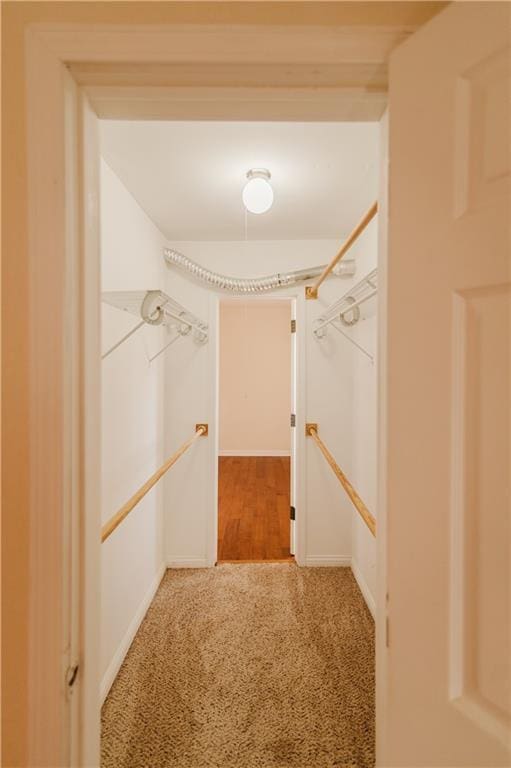 walk in closet with carpet flooring