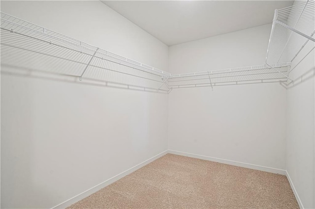 walk in closet with carpet