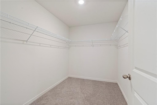 21805 Vinci Cir, Peculiar, MO 64078 - spacious closet featuring carpet
