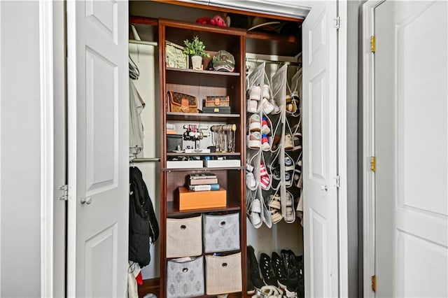 view of closet