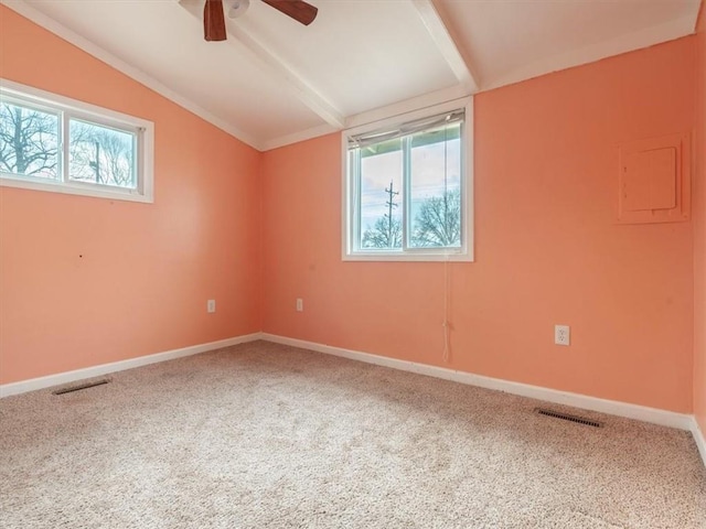 spare room with carpet floors, lofted ceiling with beams, a wealth of natural light, and ceiling fan