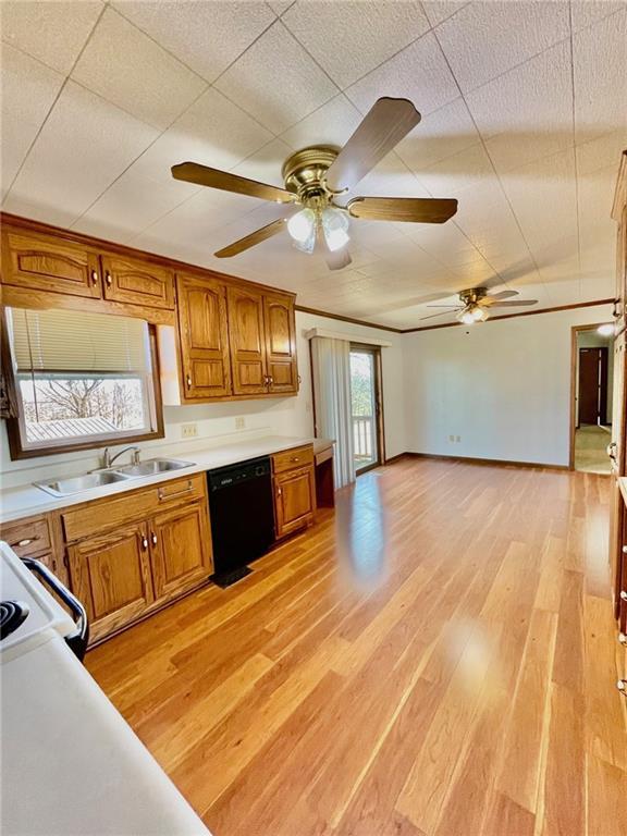 kitchen featuring dishwasher, sink, light hardwood / wood-style flooring, ceiling fan, and white range oven