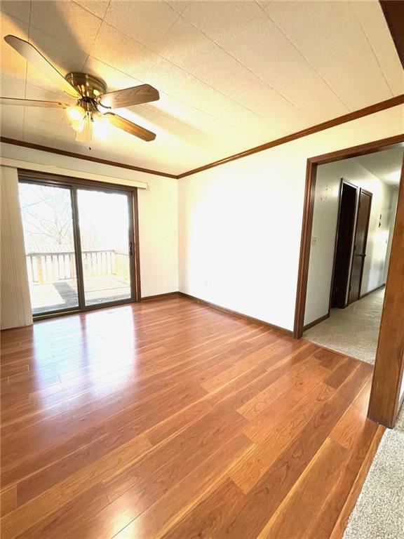 spare room with ceiling fan, hardwood / wood-style floors, and ornamental molding