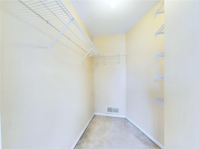 spacious closet featuring carpet floors