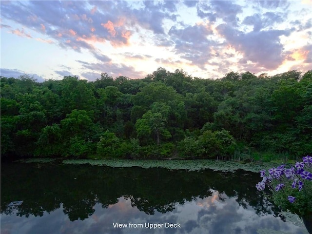 exterior space with a water view and a forest view