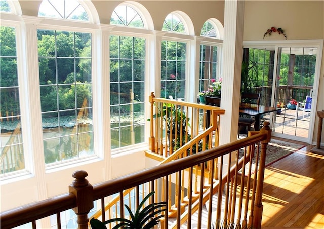 sunroom with a wealth of natural light