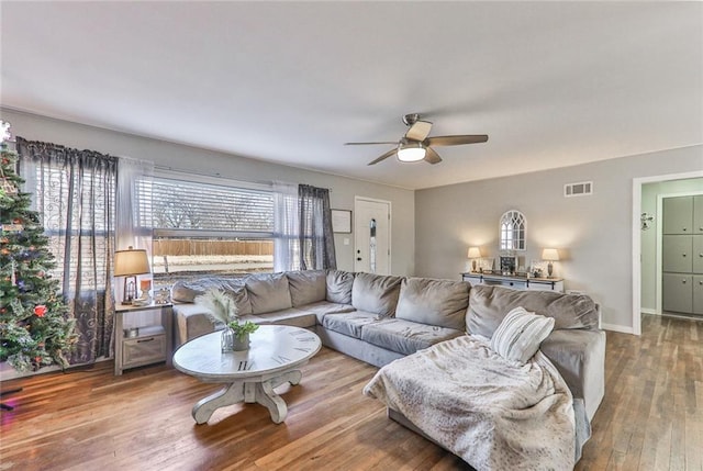 living room featuring ceiling fan and hardwood / wood-style floors