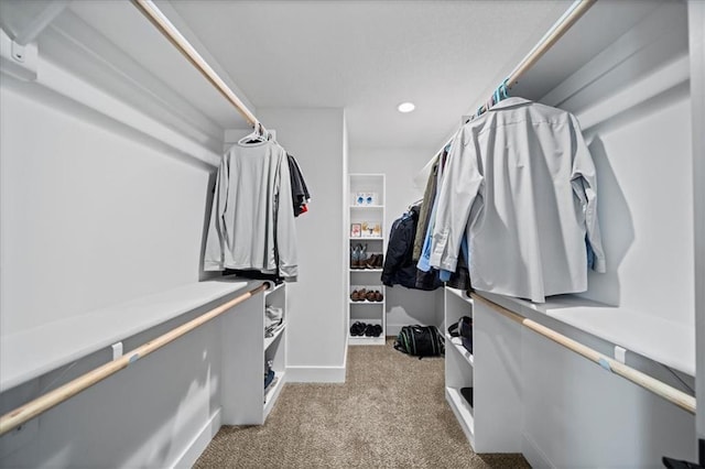 spacious closet featuring light colored carpet