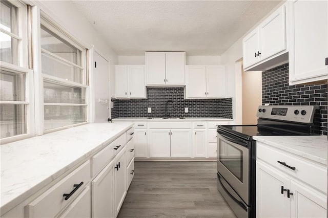 kitchen with tasteful backsplash, white cabinetry, sink, and stainless steel electric range