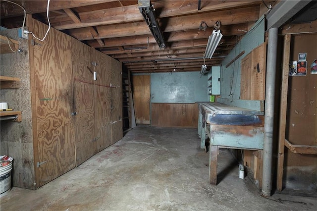 basement with wood walls