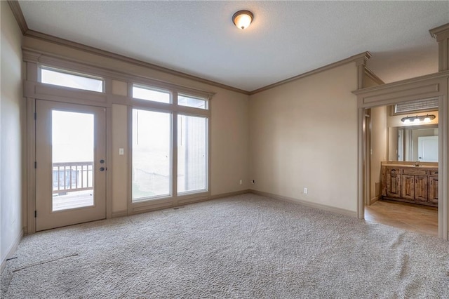 empty room with light carpet and ornamental molding