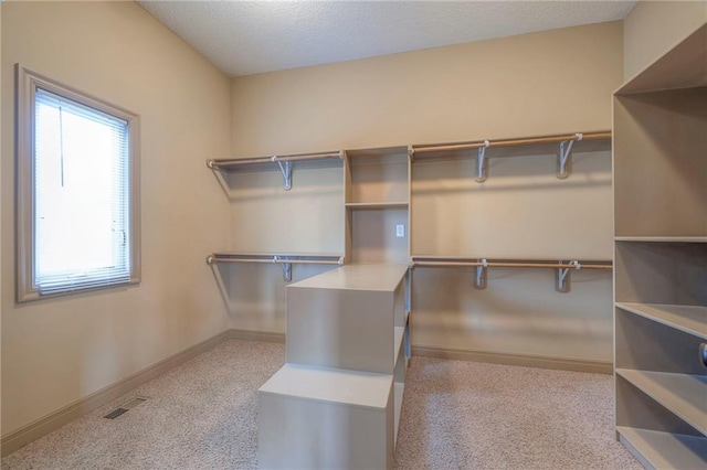 spacious closet featuring light colored carpet