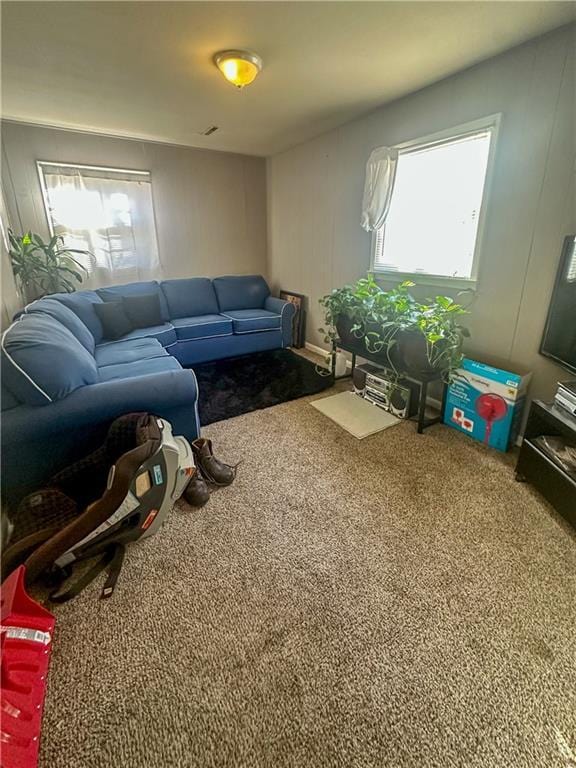 carpeted living room with a wealth of natural light