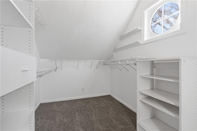 spacious closet with dark colored carpet and lofted ceiling