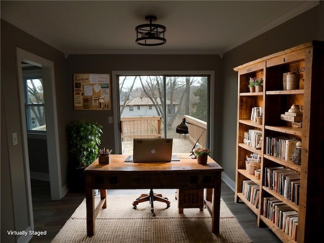 office with dark hardwood / wood-style floors and crown molding