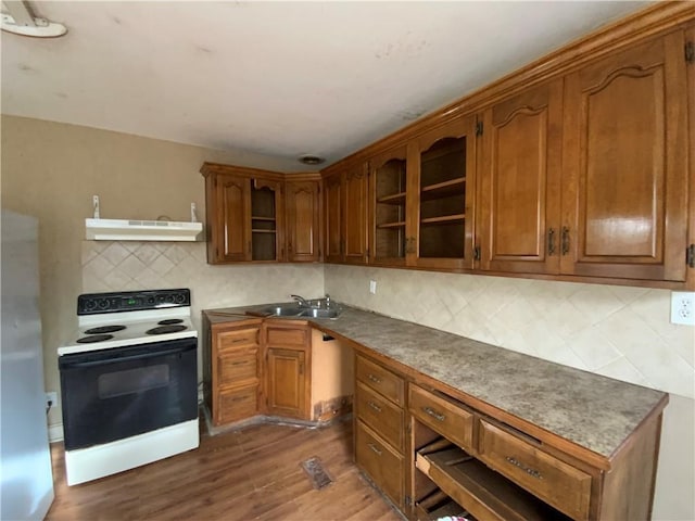 kitchen with hardwood / wood-style floors, decorative backsplash, sink, and white electric stove