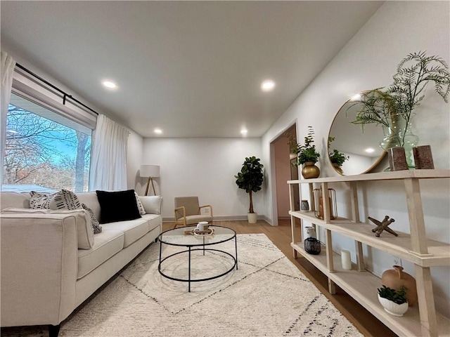 living room with wood-type flooring