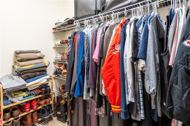 spacious closet with wood-type flooring