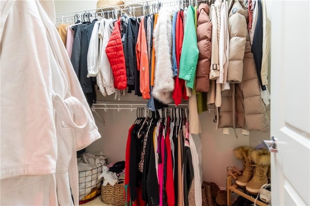 view of spacious closet