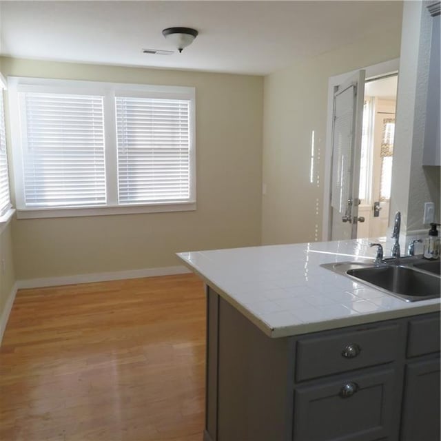 kitchen featuring plenty of natural light, light hardwood / wood-style floors, and sink