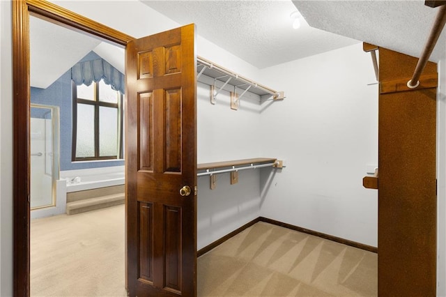 spacious closet featuring light carpet