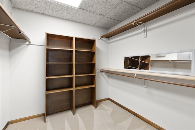 walk in closet with a paneled ceiling and light colored carpet