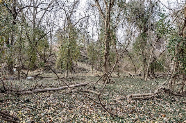 view of local wilderness