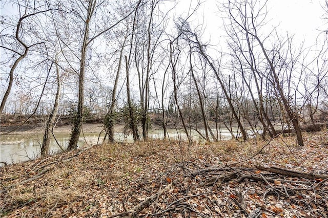 view of local wilderness with a water view