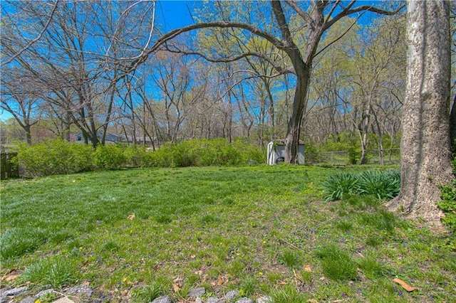 view of yard