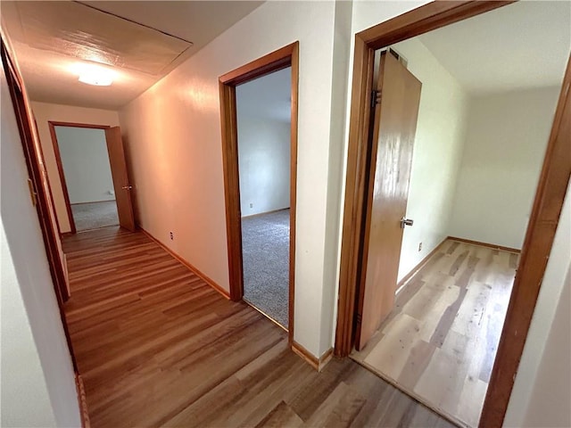 corridor featuring baseboards, attic access, and light wood finished floors