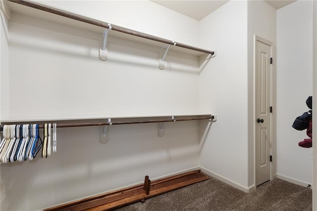 spacious closet featuring carpet