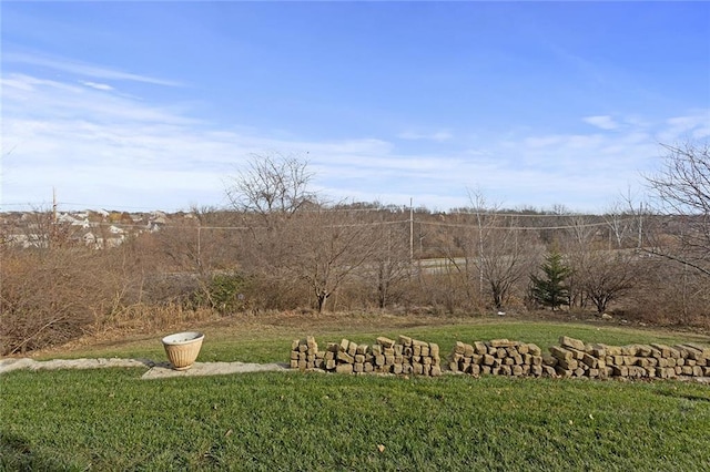 view of yard featuring a rural view