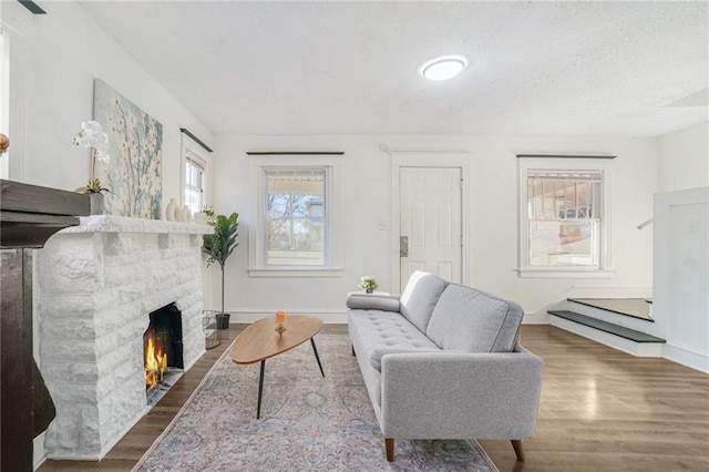 living room with wood-type flooring and a stone fireplace