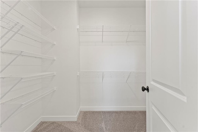 walk in closet with light carpet