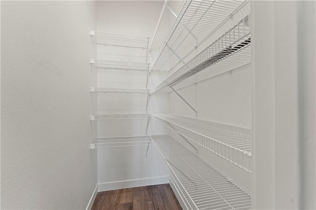 walk in closet featuring hardwood / wood-style flooring