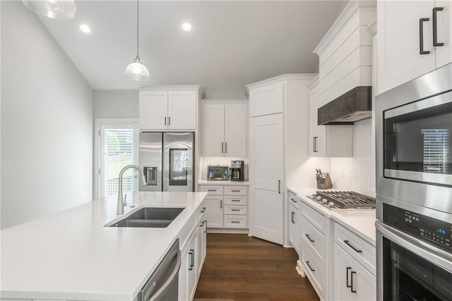 kitchen with white cabinetry, sink, stainless steel appliances, and ventilation hood