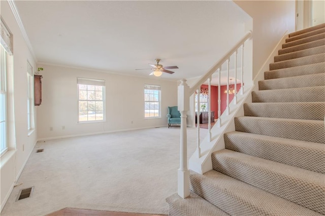 stairs featuring ceiling fan, crown molding, ornate columns, and carpet flooring