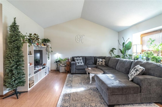 living room with vaulted ceiling and hardwood / wood-style flooring