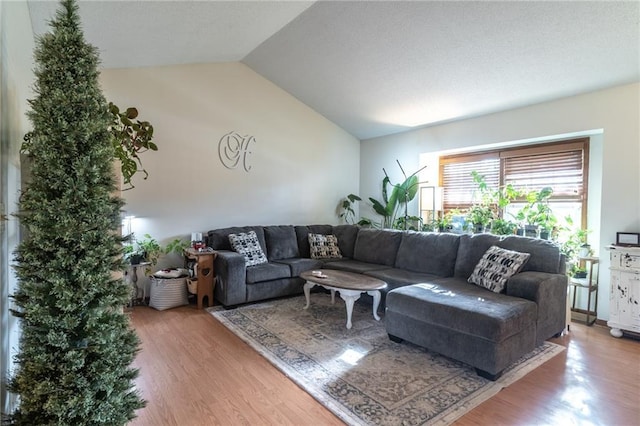 living room featuring wood-type flooring and lofted ceiling