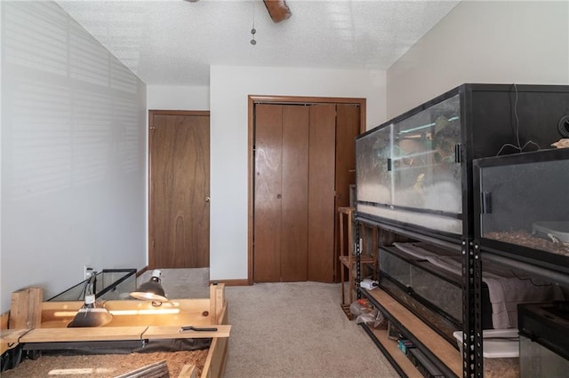 carpeted bedroom with ceiling fan and a textured ceiling