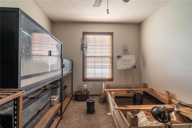 interior space featuring carpet, ceiling fan, and a textured ceiling