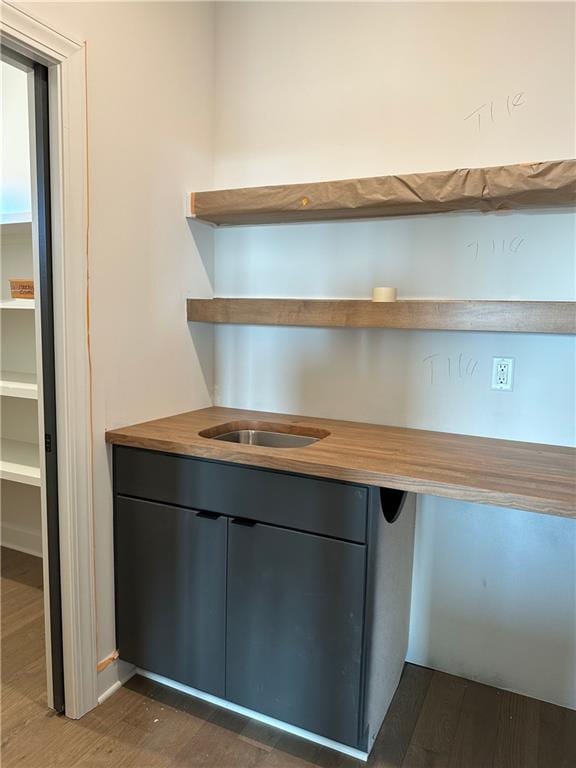 interior space with wood counters, dark hardwood / wood-style flooring, and sink