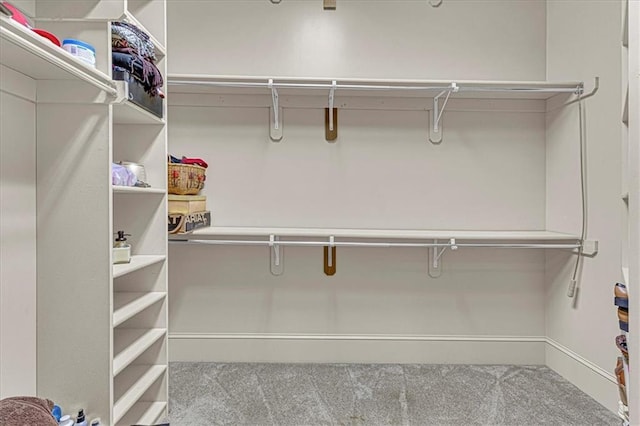 spacious closet featuring carpet flooring